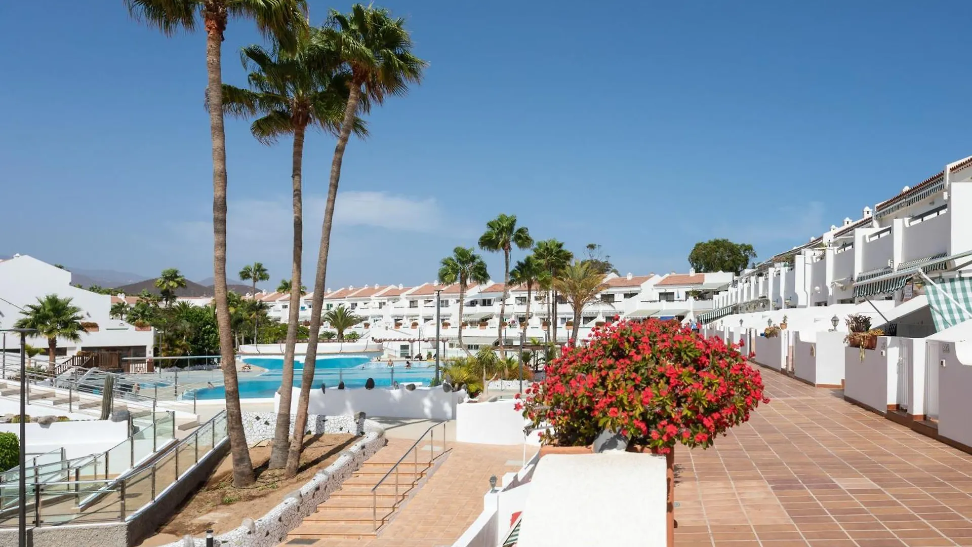 Live Don Jose Two Hundred And Five With Huge Pool And Teracce Apartment Arona  Spain