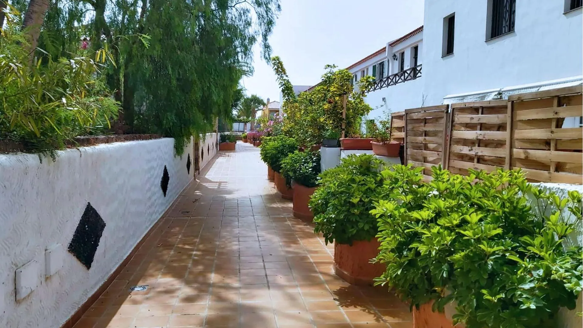 Live Don Jose Two Hundred And Five With Huge Pool And Teracce Apartment Arona  Arona (Tenerife)