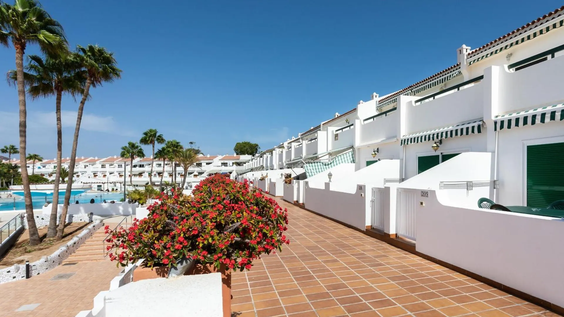 Live Don Jose Two Hundred And Five With Huge Pool And Teracce Apartment Arona  0*, Arona (Tenerife) Spain