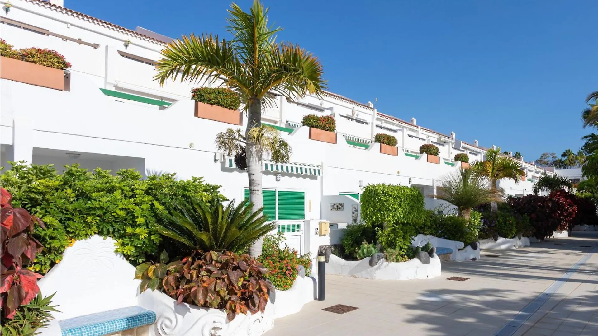 Live Don Jose Two Hundred And Five With Huge Pool And Teracce Apartment Arona  Arona (Tenerife)