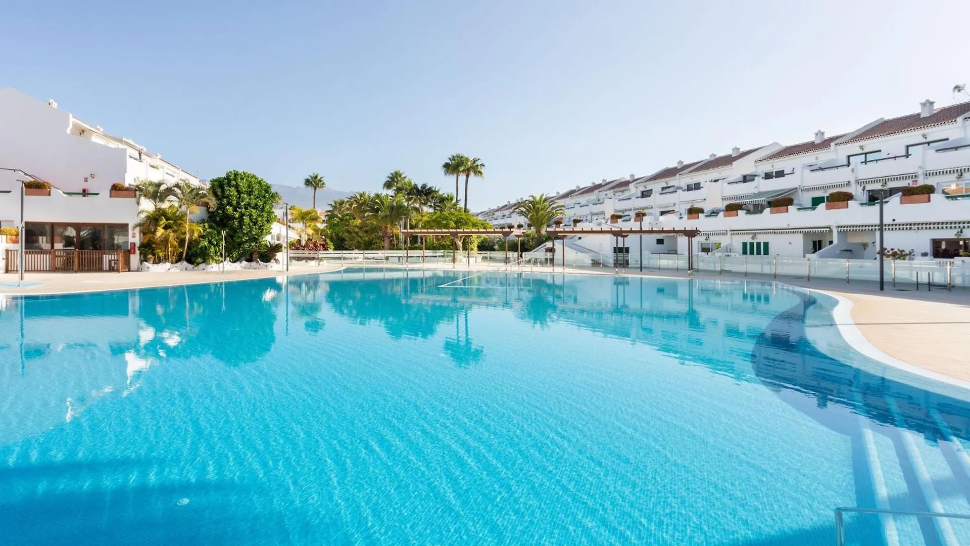 Live Don Jose Two Hundred And Five With Huge Pool And Teracce Apartment Arona